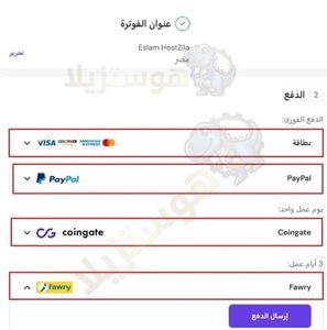 لقطة شاشة من صفحة الدفع في هوستنجر توضح وسائل الدفع المتاحة لإتمام شراء الاستضافة فى مصر و السعودية بسهولة وأمان
